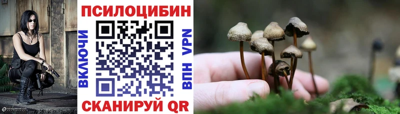 Псилоцибиновые грибы Cubensis Ильский